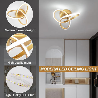 EIDISUNY Modern LED Ceiling Light,25cm 22W Flower Shape Gold LED Ceiling Lights, 6000K Cool White Light Lamp, Modern Ceiling Lights for Living Room, Bedroom, Kitchen, Hallway, Office - Brushed Gold