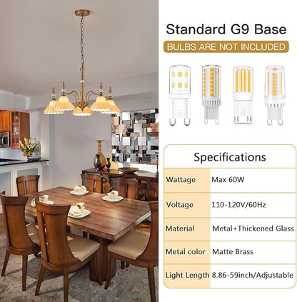 HDDFL Chandelier 5 Lights Chandeliers Lamp Modern Pendant Lighting Fixtures for Dining Room Entryway Living Room Bedrooms Kitchen Brown and Brass