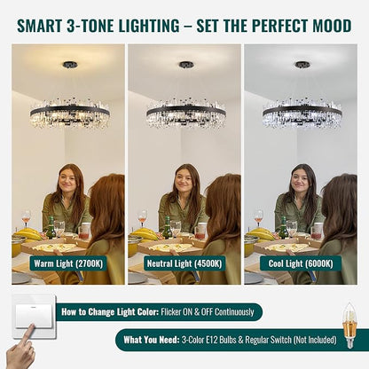 Siljoy Modern Crystal Chandelier Farmhouse Black Round 2-Tiers K9 Crystal Raindrop Chandelier Adjustable Flush Mount Crystal Ceiling Light for Dining Living Room Entryway Foyer E12x20, D39.4''