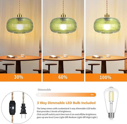 QIYIZM Plug in Pendant Light Glass Hanging Lights with Plug in Cord Boho Hanging Lamp Gold Mid Century Modern Vintage Dimmable Green Flower Plug in Chandelier Ceiling Fixture for Living Room,Kitchen
