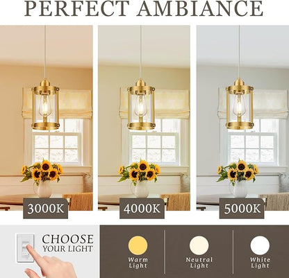 Brushed Gold Pendant Lights Kitchen Island, 1-Light Modern Brass Mini Hanging Light Fixtures with Clear Glass, Farmhouse Kitchen Pendant Lighting Over Island for Sink, OS-3014-1PBG