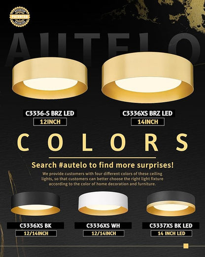 AUTELO Gold Flush Mount Ceiling Light, LED 14" Ceiling Mount Light Fixture with Frosted Glass for Bedroom Foyer Hallway C3336XS BRZ LED