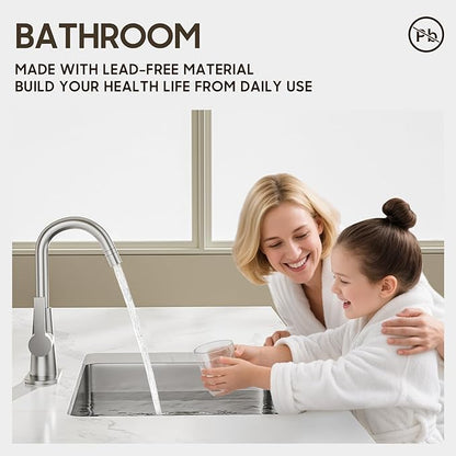 Phiestina Tall Bathroom Faucets with Pull Down Sprayer, Brushed Nickel High Arc Single Handle Pull Out Faucet, 1 or 3 Hole Utility Sink Laundry Bar Faucet Pull Out with Deck Plate WE10CL-ZY-BN