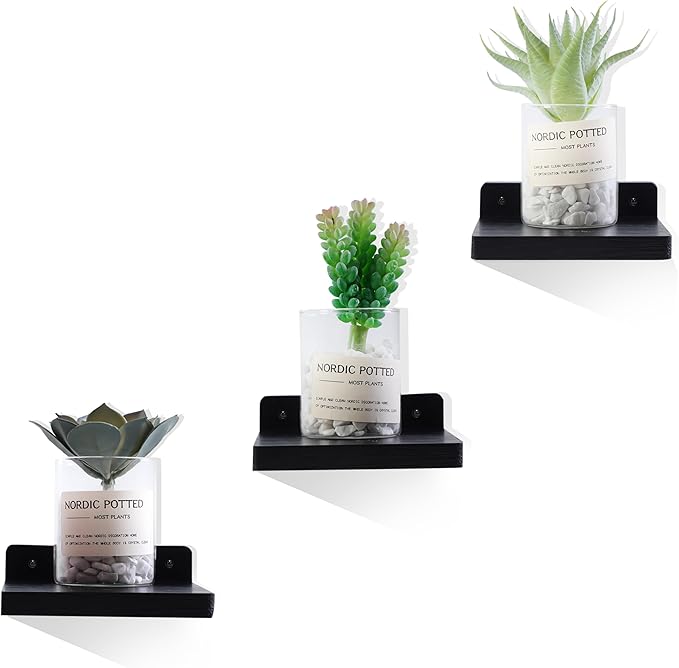 Small Floating Shelf, Set of 3 Black Shelf for Wall Decor Storage Wall Mounted Small Shelf for Bedroom Living Room Bathroom Kitchen -5x5 Inch