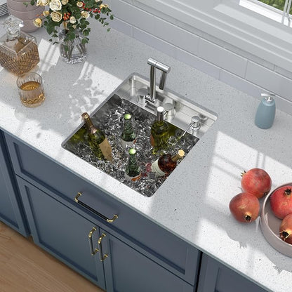 Outdoor Sink and Faucet - Beslend 17x19x9 Inch Undermount Bar Sink With Folding Faucet and Cover 16 Gauge Stainless Steel Single Bowl Sink Indoor Outdoor