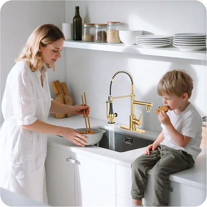 LED Kitchen Faucet with Pull Down Sprayer - Brushed Gold Single Handle Commercial Kitchen Faucets, 2-Spout Stainless Steel Spring Pull Out Kitchen Sink Faucet 1/3 Hole with Deck Plate