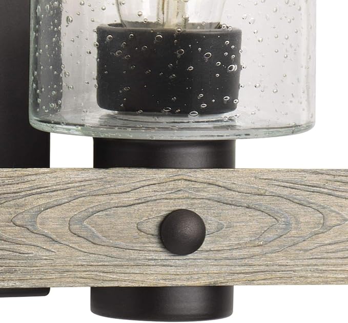 Progress Lighting Gulliver Collection 3-Light Clear Seeded Glass Coastal Bath Vanity Light Graphite