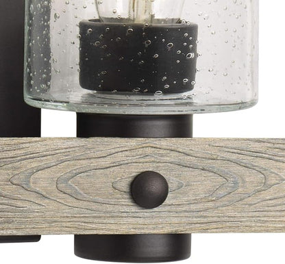 Progress Lighting Gulliver Collection 3-Light Clear Seeded Glass Coastal Bath Vanity Light Graphite