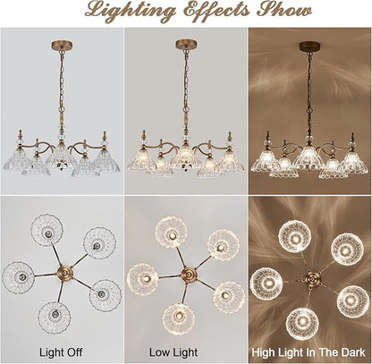 HDDFL Chandeliers Light 5 Lights Chandelier Lamp Modern Pendant Lighting Fixtures Hanging Lamps for Dining Room Entryway Living Room Bedrooms Foyer Entrance Kitchen