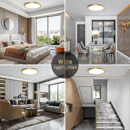 12Inch Flush Mount Ceiling Light Fixture LED, 24W(240W Equivalent), 3200LM, 5000K Daylight White, IP40, Flat Modern Round Ceiling Lights for Bedrooms, Living Rooms, Bathrooms, Stairwells, etc.(Gold)
