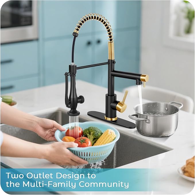 Kitchen Faucet with Pull Down Sprayer - Brushed Nickel Single Handle Commercial Kitchen Faucets, 2-Spout Stainless Steel Spring Pull Out Kitchen Sink Faucet 1/3 Hole with Deck Plate