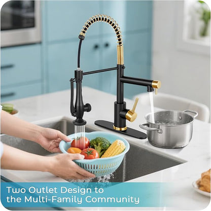 Kitchen Faucet with Pull Down Sprayer - Brushed Nickel Single Handle Commercial Kitchen Faucets, 2-Spout Stainless Steel Spring Pull Out Kitchen Sink Faucet 1/3 Hole with Deck Plate