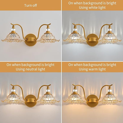 Vintage Bathroom Vanity Light Fixtures - 2 Light Antique Brass Bathroom Lights Fixture Over Mirror with Amber Flower Glass,Retro Brushed Gold Bronze Wall-Mounted Vanity Lighting for Powder Room
