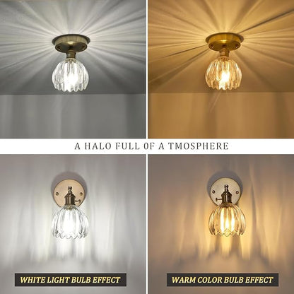 Shenmoyl Semi Flush Mount Gold Vintage Lights Fixture, Clear Tulip Glass, Bulb Included, 4.72" Base Modern Ceiling Light for Porch, Corridor, Kitchen, Bedroom