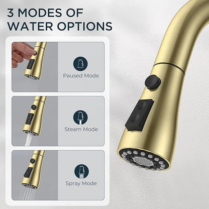 QFN Gold Kitchen Faucet with Pull Down Sprayer, High Arc Single Handle Single Level Stainless Steel Pull Out Sink Faucet for Farmouse Camper RV Bar, Fit for 1 or 3 Hole
