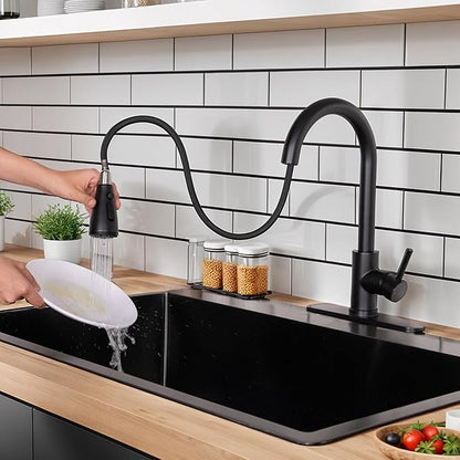 HOTIS Black Kitchen Faucet, Single Handle Matte Black Kitchen Faucets with Pull Down Sprayer, Stainless Steel Suitable for 1 or 3 Hole Sinks for Farmhouse, RV, Laundry, Bar, HT-KYT010B-D-new