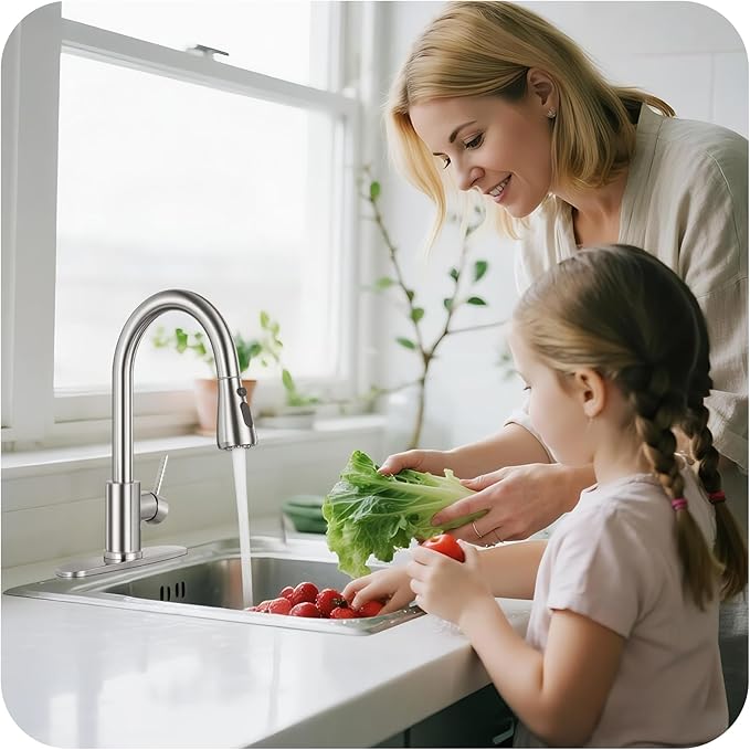 Kitchen Faucet with Pull Down Sprayer - Brushed Nickel Single Handle Kitchen Faucets, High Arc Stainless Steel Pull Out Kitchen Sink Faucet with Deck for RV Laundry Farmhouse Bar