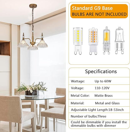 HDDFL Chandelier Light 3 Lights Chandeliers Lamp Modern Pendant Lighting Fixtures for Dining Room Entryway Living Room Bedrooms Foyer Entrance Kitchen