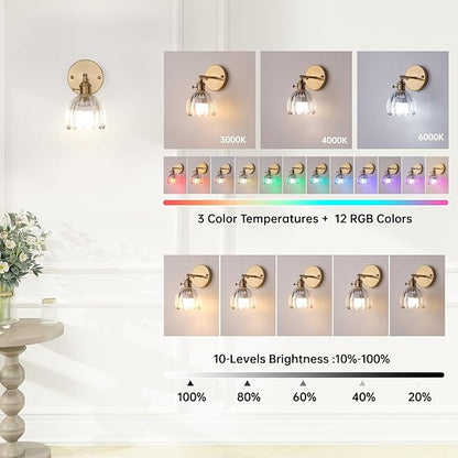 Shenmoyl Vintage Battery Operated Wall Sconce with Transparent Tulip Glass Lampshade Rechargeable Battery Powered Wall Light with Remote Control for Bedside Bedroom Doorway, Set of 2