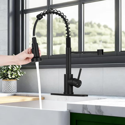 Kitchen Faucet with Pull Down Sprayer 1 Handle Pull Out Spring Sink Faucets 1 Hole Or 3 Hole Stainless Steel (Matte Black)