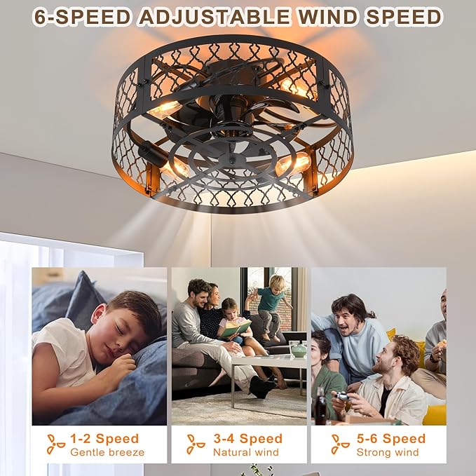 Garwarm 19.6in Caged Ceiling Fan with Light, Bladeless Black Fandelier Ceiling Fan with Remote, Industrial Farmhouse Samll Fan Lights Ceiling Fixtures for Kitchen, Bedroom（6 Speed, Timing）-Black