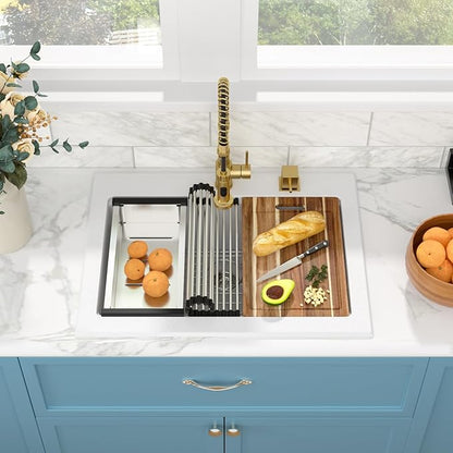 Sarlai Granite Composite Kitchen Sink - 30"x22" Drop In Kitchen Sink 30 Inch Ledge Workstation White Granite Quartz Composite Top-Mount Single Bowl Sinks Basin with Accessories