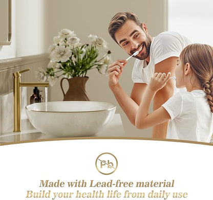 Phiestina Brushed Gold One Hole High Bathroom Vessel Sink Faucet, Single Hole Single Handle Tall Bathroom Faucet, with Pop Up Drain and Water Supply Line,FH01-BG-V