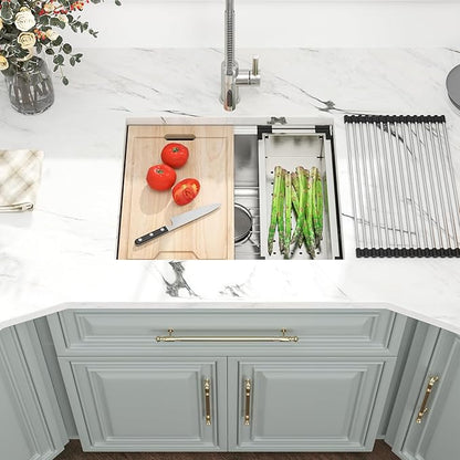 23 Inch Undermount Kitchen Sink - 23x19 Undermount Sink Ledge Workstation Stainless Steel 16 Gauge Single Bowl Handmade Round Corner Small Kitchen Sink with Cutting Board