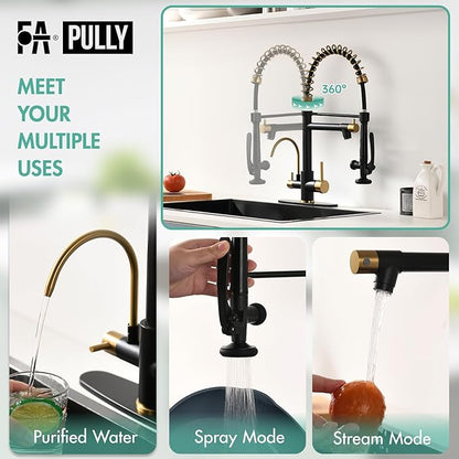Fapully Commercial Kitchen Faucet with Pull Down Sprayer and Water Filter, Matte Black&Brushed Gold 3 in 1 Kitchen Faucets with Drinking Water Faucet for Kitchen Sink