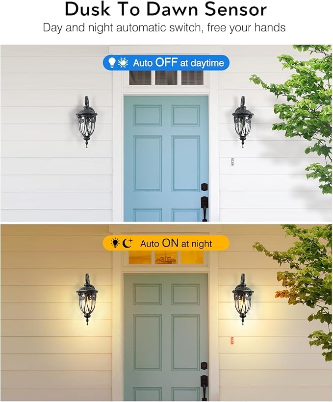 VIANIS Outdoor Light Fixture Dusk to Dawn, 2 Pack Outdoor Lights for House, Black Exterior Lighting Fixtures, Waterproof Outside Lights for House, Garage, Porch, Anti-Rust, Seeded Glass, Vintage Style