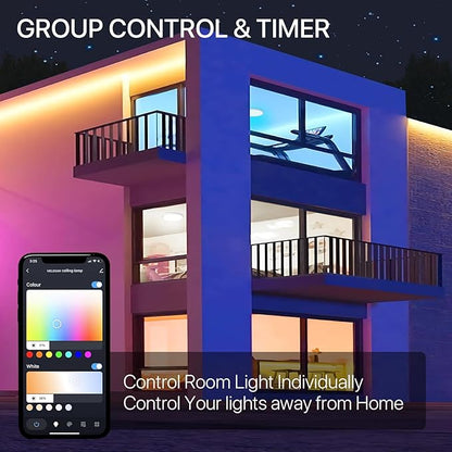 MELEGAN 2Pcs RGB Smart Ceiling Light, Super Slim LED Flush Mount Ceiling, WiFi Compatible with Alexa Google Home,12Inch 24W Dimmable 2700K-6500K for Bedroom, Kitchen, Dining Room, Basements