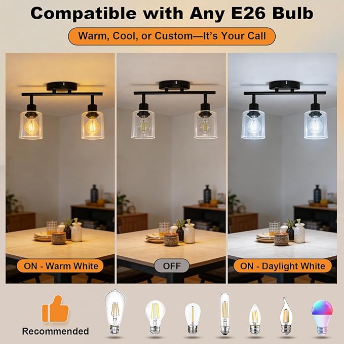 HiBay 2-Light Track Lighting Fixture Black, Ceiling or Wall Mount Rotatable Spotlights with Glass Shades, Modern Farmhouse Industrial Lights for Bedroom, Kitchen Sink, Loft, E26 Base