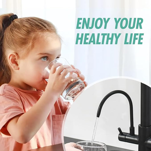 Fapully Commercial Kitchen Faucet with Pull Down Sprayer and Water Filter, Matte Black 3 in 1 Kitchen Faucets with Drinking Water Faucet