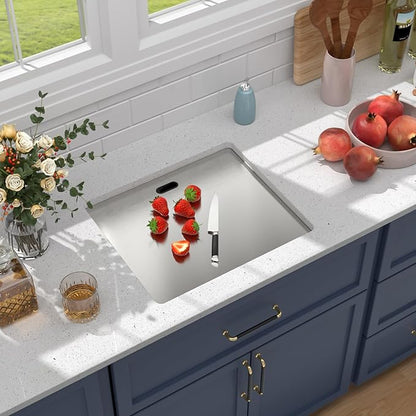 Outdoor Sink 21x18x9 Inch Undermount Bar Sink With Faucet and Cover 16 Gauge Stainless Steel Single Bowl Sinks with Folding Faucet Indoor Outdoor