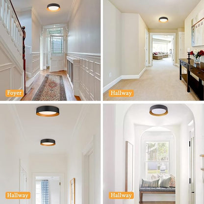 Bargeni 16.5 Inch LED Ceiling Light Fixture, Dimmable Flush Mount Matte Black With Gold Inside, 3000K/Warm White/30W, Modern Light Fixtures Mount for Bedroom, Outdoor, Foyer