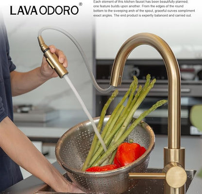 Lava Odoro Champagne Gold Kitchen Faucet with Pull Down Sprayer, Modern Kitchen Sink Faucet Single Hole Gold Faucet for Kitchen Sink with 2-Function Spray Head, Deck Plate Included, KF1120-CB