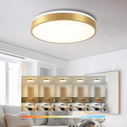Ken & Ricky Flush Mount Ceiling Light, Dimmable Led Close to Ceiling Light Fixtures for Kitchen Bathroom Bedroom Hallway 5cct (Brushed Gold, 16 Inch)