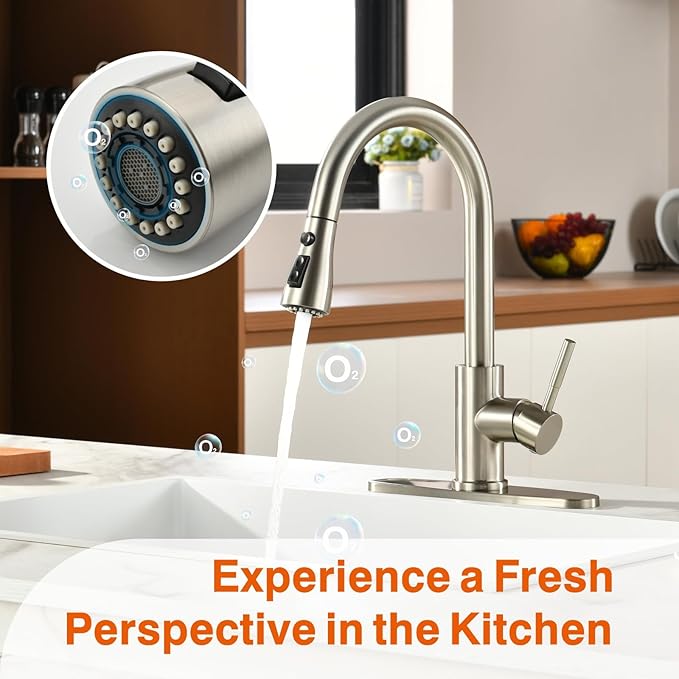 Kitchen Faucet, Kitchen Sink Faucet, Sink Faucet, Pull-Down Kitchen Faucets, Free Water Filter Included, Brushed Nickel, RULIA PB1020