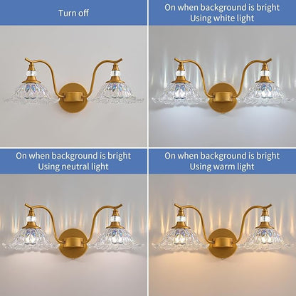 Vintage Bathroom Vanity Light Fixtures - 2 Light Iridescent Flower Glass Antique Brass Bathroom Lights Fixture Over Mirror,Retro Brushed Gold Bronze Wall-Mounted Vanity Lighting for Powder Room