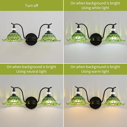 Vintage Bathroom Vanity Light Fixtures - 2 Light Antique Matte Black Bathroom Lights Fixture Over Mirror with Green Flower Glass,Retro High End Wall-Mounted Vanity Lighting for Bath Powder Room