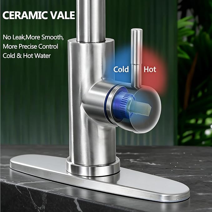 HOTIS Kitchen Faucet with Soap Dispenser, Brushed Nickel Kitchen Faucet with Pull Down Sprayer 3 Modes, High Arc Single Handle RV Bar Sink Faucets for Farmhouse RV Laundry Camper, HT-SLYT004L-S-1