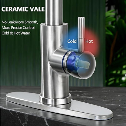 HOTIS Kitchen Faucet with Soap Dispenser, Brushed Nickel Kitchen Faucet with Pull Down Sprayer 3 Modes, High Arc Single Handle RV Bar Sink Faucets for Farmhouse RV Laundry Camper, HT-SLYT004L-S-1