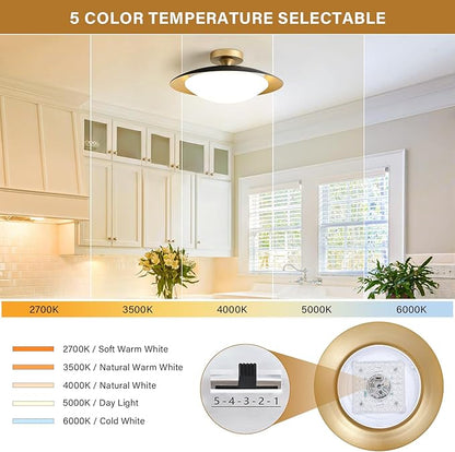 Dimmable Modern Mid-Century Ceiling Light, Black and Gold LED Semi Flush Mount Ceiling Light, 5CCT 2700K-6000K Lighting Fixture Ceiling Lamp with Glass Shade for Bedroom Kitchen Living Room, 15.7in