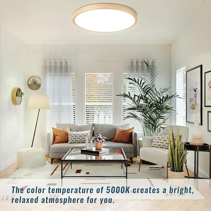 Gold LED Flush Mount Ceiling Light Fixture, 12inch 28W 5000K LED Ceiling Light Set of 2, Ultra Slim Flush Mount Ceiling Lamp for Bedroom, Living Room, Dining Room, Kitchen, Hallway