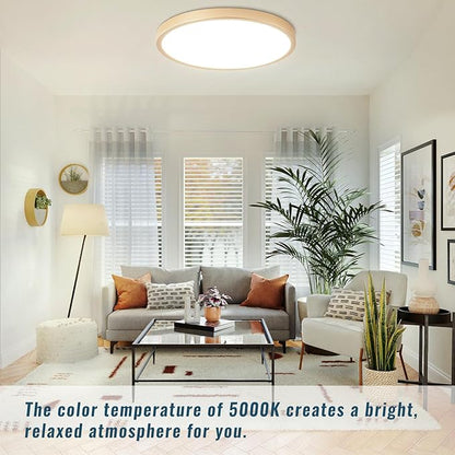 Gold LED Flush Mount Ceiling Light Fixture, 12inch 28W 5000K LED Ceiling Light Set of 2, Ultra Slim Flush Mount Ceiling Lamp for Bedroom, Living Room, Dining Room, Kitchen, Hallway
