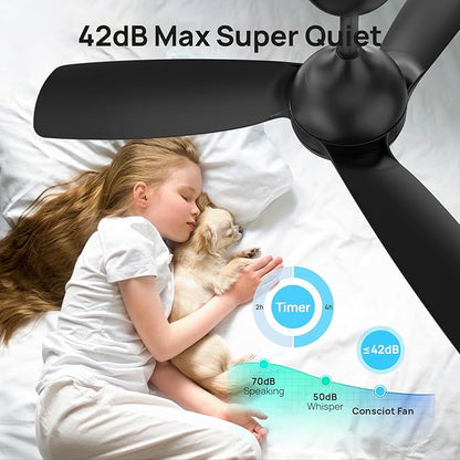 Consciot Ceiling Fan With Lights Remote Control, 44 Inch Modern Ceiling Fan, Downrod Mount, Reversible Quiet DC Motor, 6 Speed, 3 Color and Dimmable, Black Ceiling Fan For Indoor and Covered Outdoor