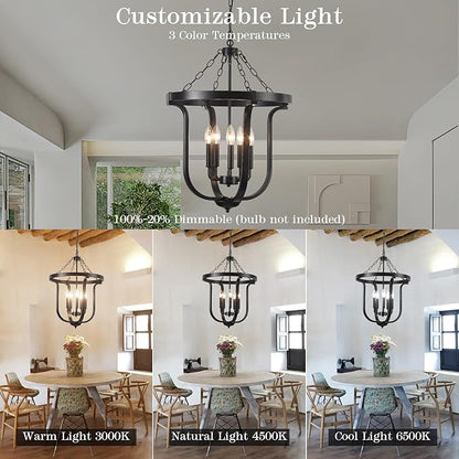 Black Farmhouse Chandelier 5-Light, 19” Industrial Lantern Chandelier Entryway Light Fixture, Metal Cage Rustic Hanging Pendant Lighting Fixture for Foyer Kitchen Dining Room Living room Hallway