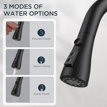 QFN Black Kitchen Faucet with Pull Down Sprayer, High Arc Single Handle Single Level Stainless Steel Pull Out Sink Faucet for Farmouse Camper RV Bar, Fit for 1 or 3 Hole