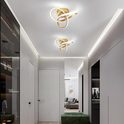 EIDISUNY Modern LED Ceiling Light,25cm 22W Flower Shape Gold LED Ceiling Lights, 6000K Cool White Light Lamp, Modern Ceiling Lights for Living Room, Bedroom, Kitchen, Hallway, Office - Brushed Gold