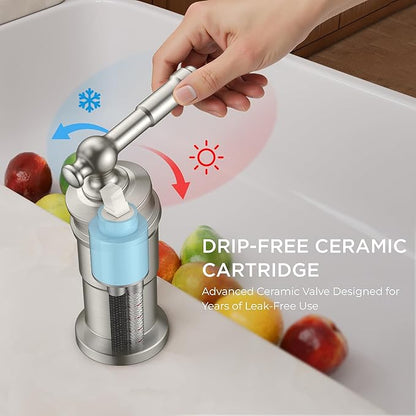 FORIOUS 3 Hole Kitchen Faucet with Soap Dispenser, Brushed Nickel Stainless Steel Vintage Pull Down Sprayer Kitchen Sink Faucet with Single Seperate Handle, Suitable for Farmhouse Outdoor Rv Bar